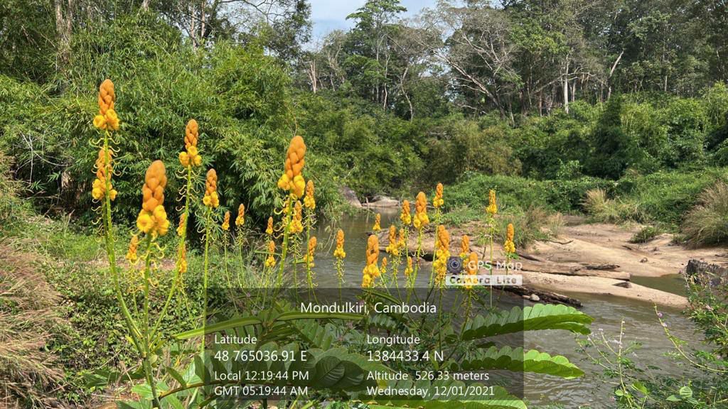 ក្រុមអ្នកស្រាវជ្រាវបានប្រមូល និងកំណត់អត្ថសញ្ញាណ ប្រភេទសត្វ និងរុក្ខជាតិច្រើនប្រភេទនៅដែនជម្រកសត្វព្រៃ ភ្នំណាមលៀរ