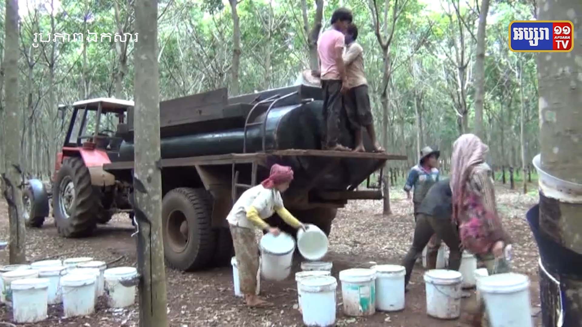 ត្រីមាសទី១ ឆ្នាំ២០២២ ការនាំចេញជ័រកៅស៊ូ និងឈើកៅស៊ូរបស់កម្ពុជាមានទឹកប្រាក់ជាង ៩៩លានដុល្លារ