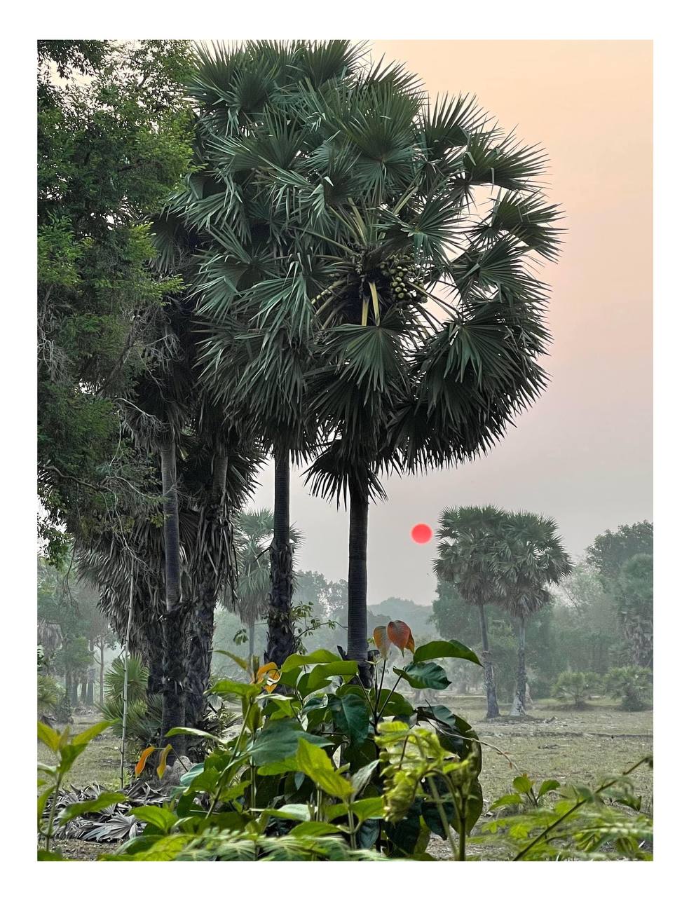 រស់នៅស្អាត ភូមិឋានស្អាត សុខភាពល្អ អនាគតរុងរឿង
