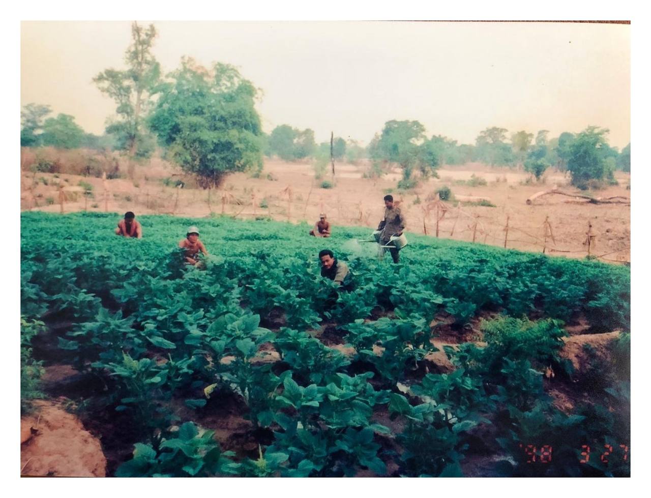 ការបង្កបង្កើនផលរបស់កងទ័ពខ្មែរនាកំឡុងទសវត្សរ៍ឆ្នាំ៩០ នៅភូមិអូរពងមាន់ ឃុំតាគ្រាម ស្រុកបាណន់ ខេត្តបាត់ដំបង