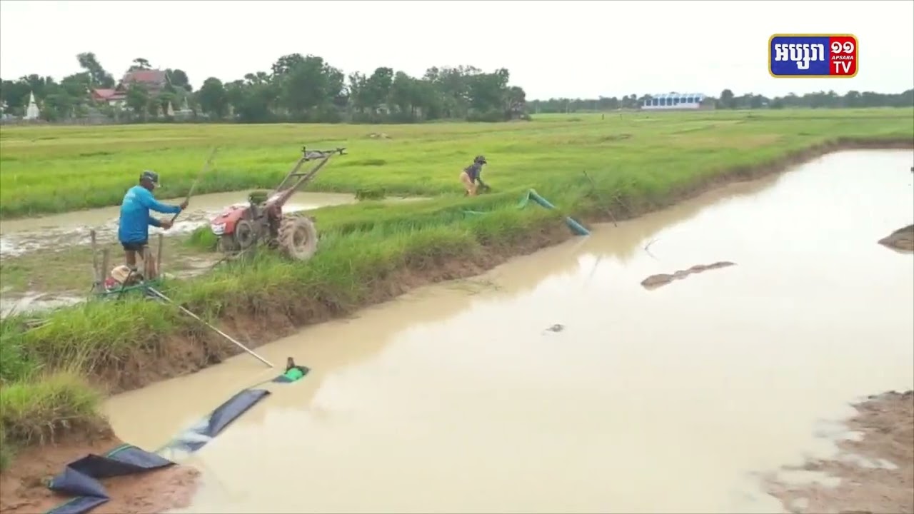 ប្រជាកសិករ នៅមូលដ្ឋានមានប្រភពទឹកត្រូវបង្កើនការដាំដំណាំបន្លែចិញ្ចឹមសត្វដែលឆាប់ឲ្យផលកាត់បន្ថយការធ្វើស្រែប្រាំង (Video Inside)