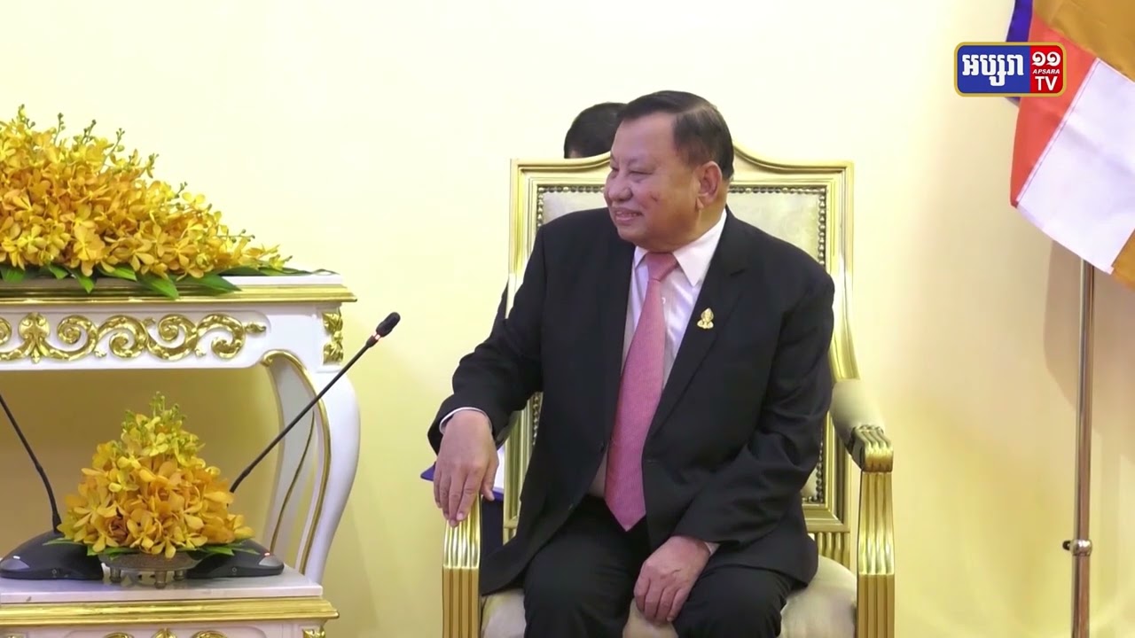 សម្តេចប្រធានព្រឹទ្ធសភា ទទួលជួបឯកអគ្គរាជទូតតែងតាំងថ្មី នៃសាធារណរដ្ឋក្រូអាស៊ី (Video Inside)
