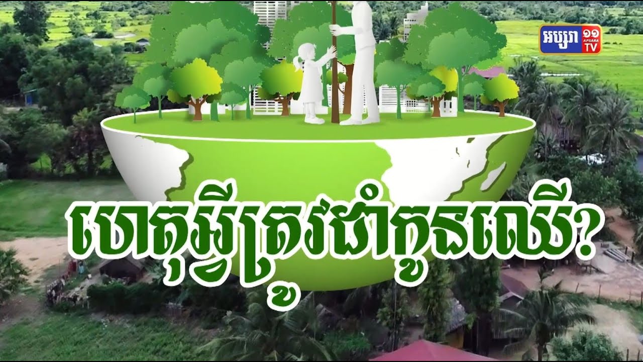 បទយកការណ៍៖ ហេតុអ្វីត្រូវដំាកូនឈើ? (Video Inside)