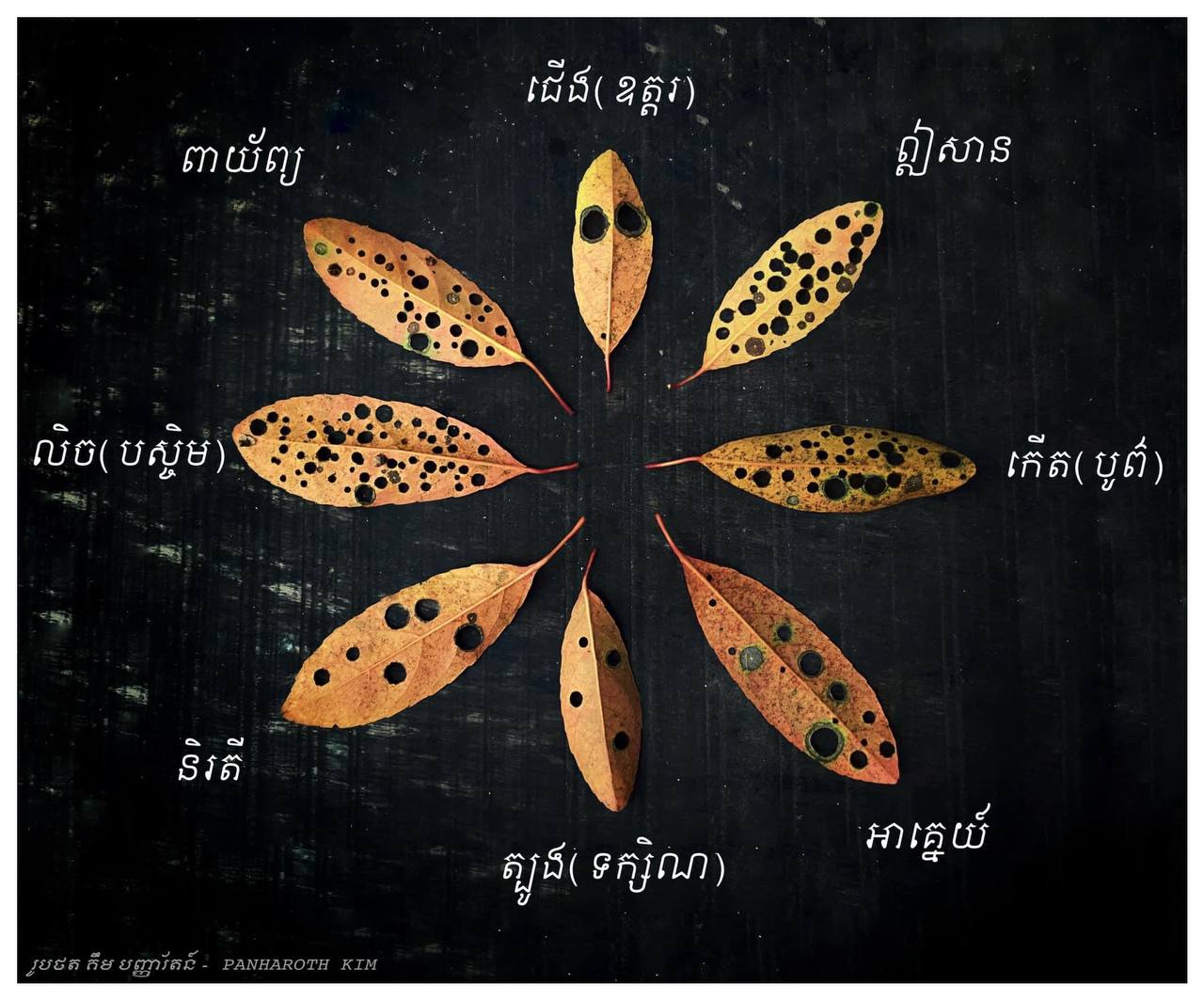 ទិសទាំង៨