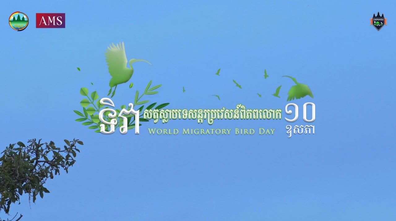 ទិវាសត្វស្លាបទេសន្តរប្រវេសន៍ពិភពលោក ១០ ឧសភា