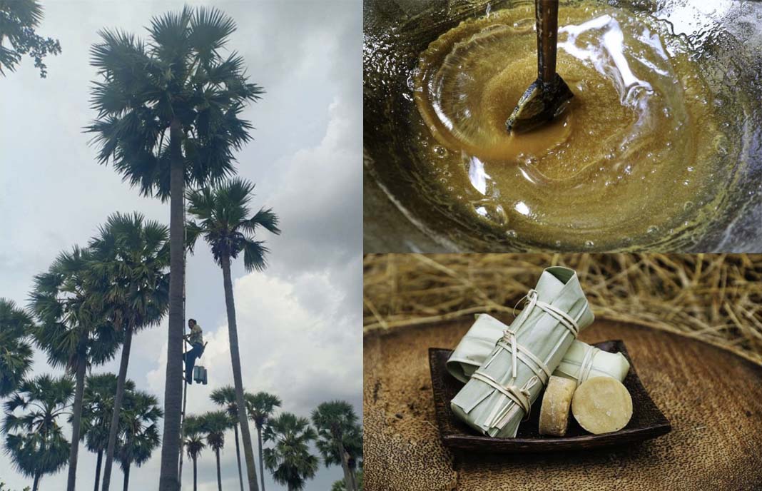 ស្ករត្នោតកំពង់ស្ពឺរំពឹងនាំចេញបាន ១៧០តោនក្នុងឆ្នាំ២០២២នេះ