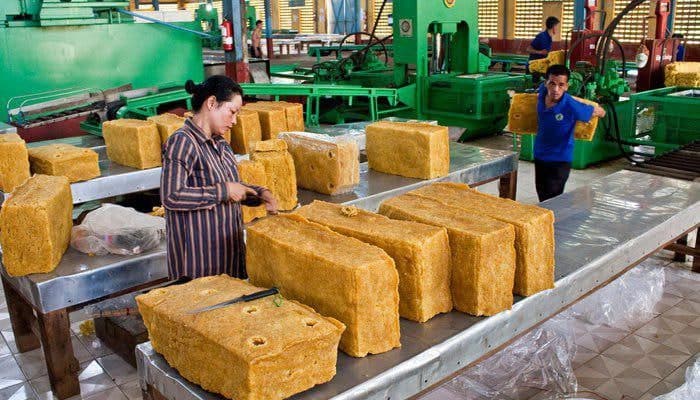 នាំចេញជ័រកៅស៊ូ និងឈើកៅស៊ូរបស់កម្ពុជារកចំណូលបានជាង ១២៨លានដុល្លារក្នុងរយៈពេលបួនខែដើមឆ្នាំ២០២២
