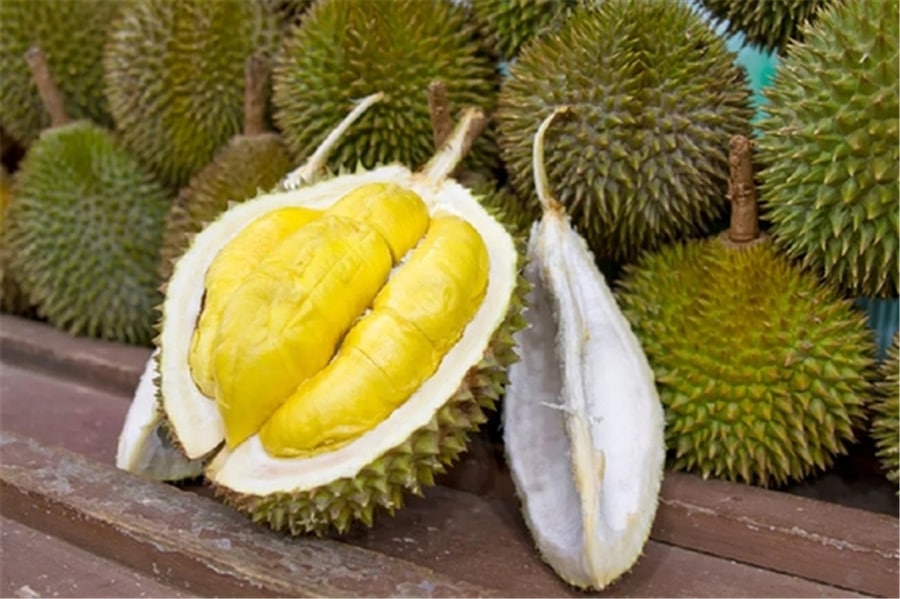 ប្រធានមន្ទីរកសិកម្មខេត្តកំពត៖ ជារៀងរាល់ឆ្នាំក្នុងអំឡុងខែឧសភា តម្លៃធុរេនតែងតែធ្លាក់ចុះជាងដើមរដូវ