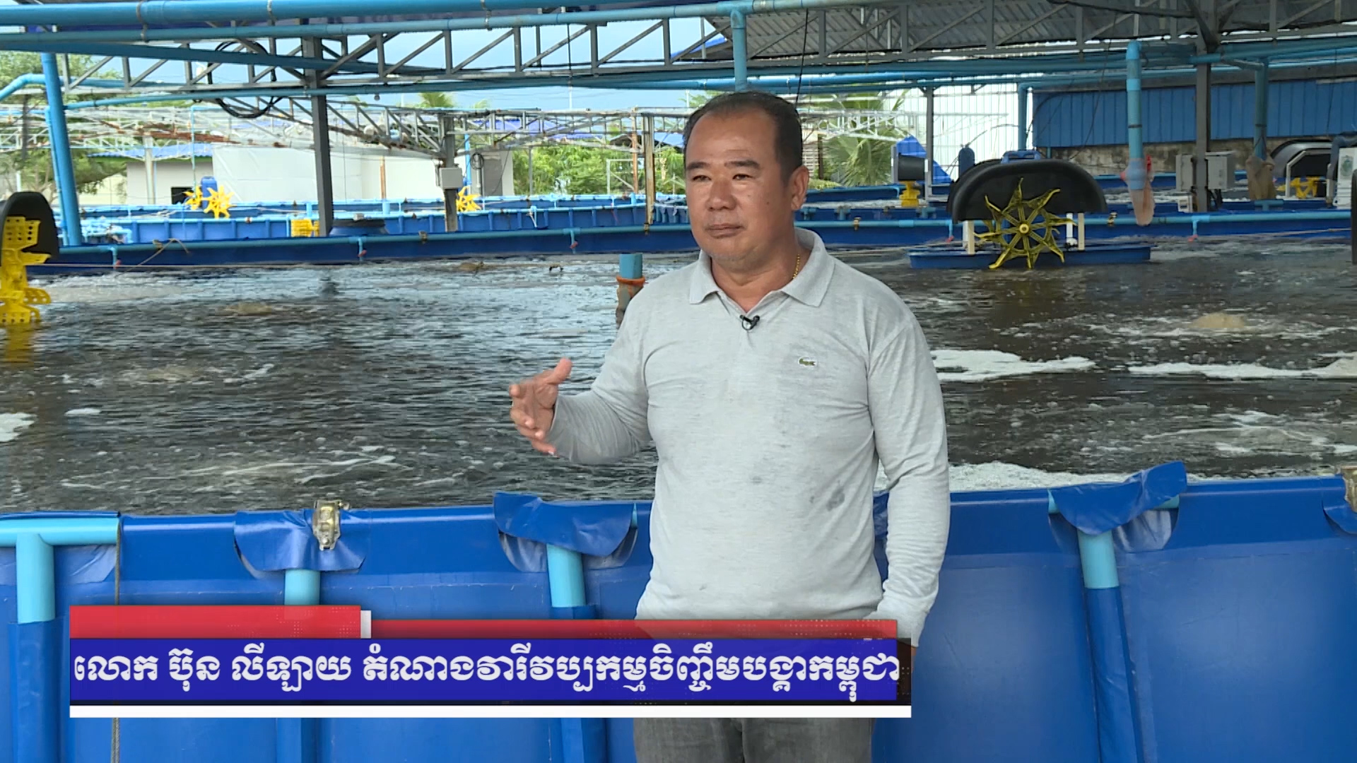 កម្ពុជាចាប់ផ្តើមវារីវប្បកម្មចិញ្ចឹមបង្គាក្នុងអាងបែបទំនើបមានស្តង់ដារខ្ពស់នៅខេត្តព្រះសីហនុ (មានវីដេអូ)