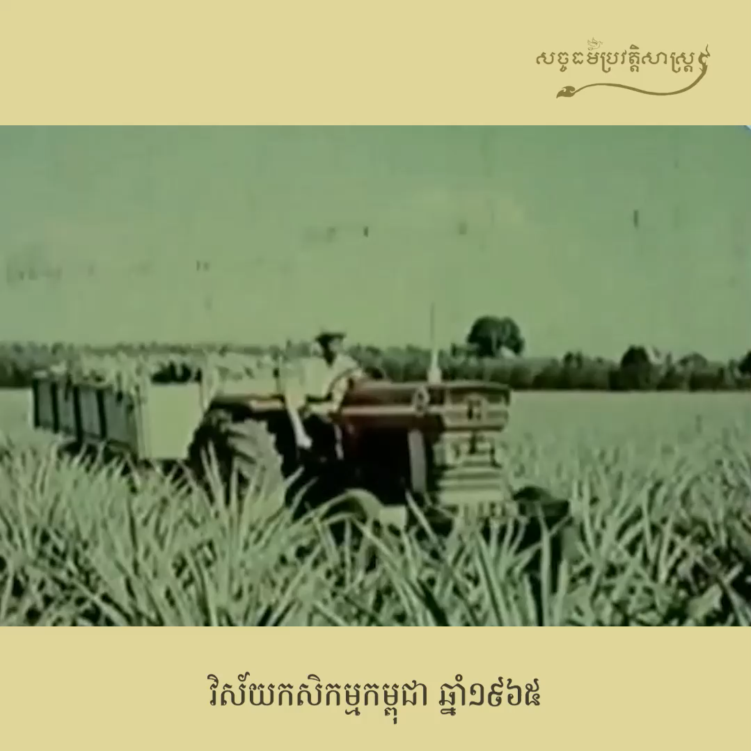 Untitled post 825657