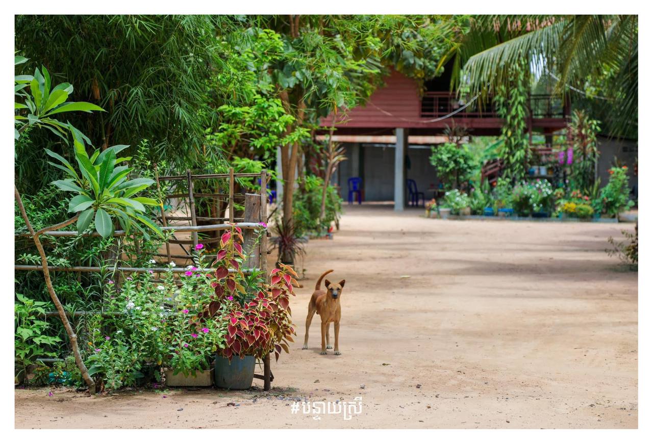 “ទម្លាប់រស់នៅស្អាត” គឺជាអត្តសញ្ញាណថ្មីរបស់អ្នកបន្ទាយស្រី ❤️