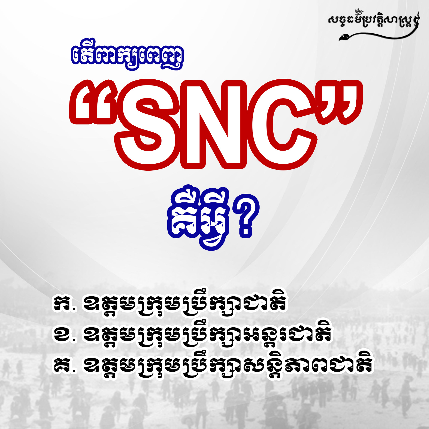 តើពាក្យពេញ SNC គឺជាអ្វី?