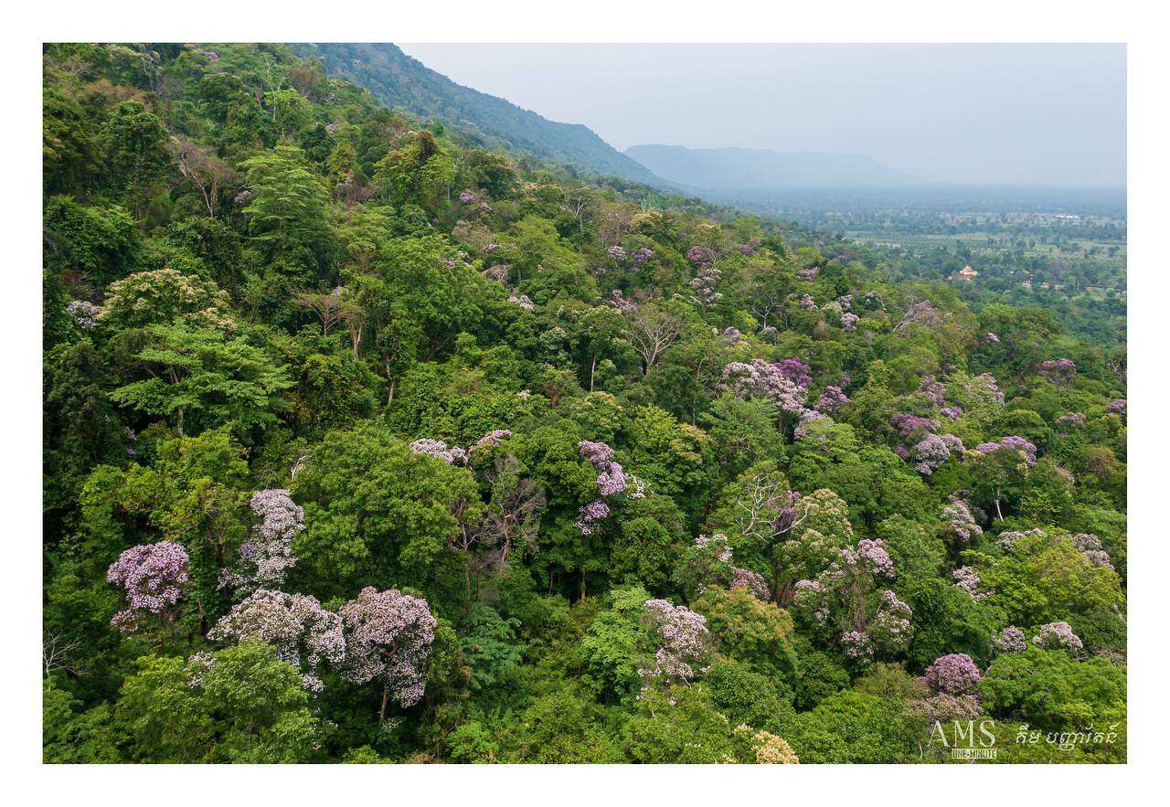 ស្រឡៅជូនៅជើងភ្នំត្បែង 🌸🇰🇭