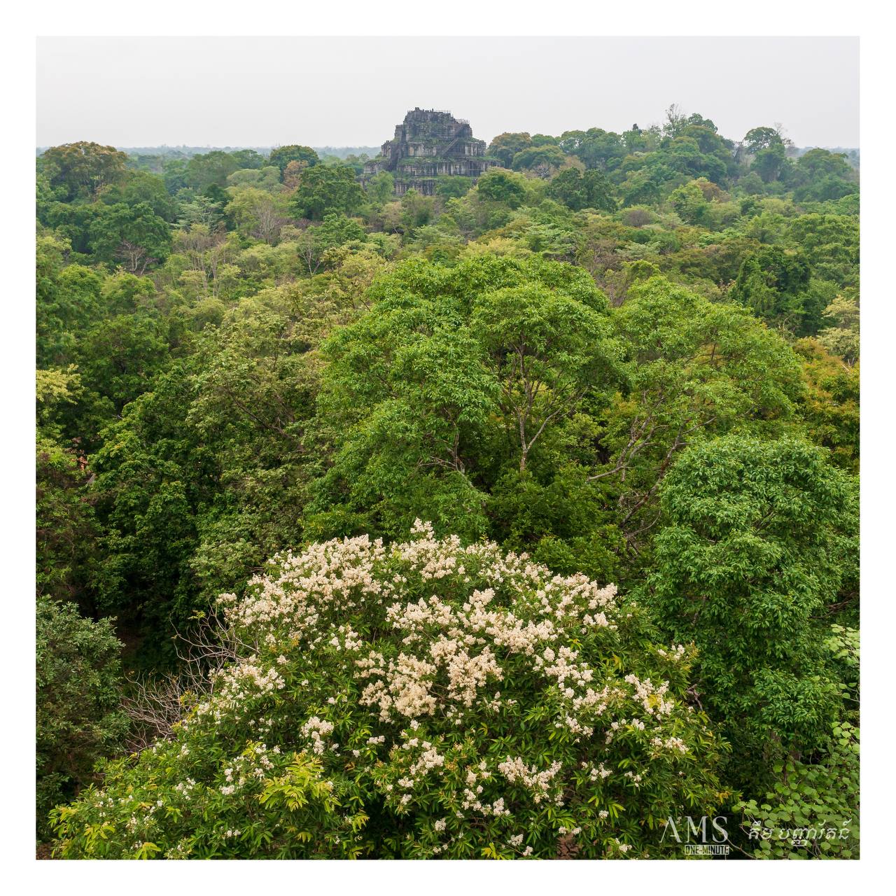 ប្រាសាទសិលា កំបាំងកណ្តាលព្រៃ