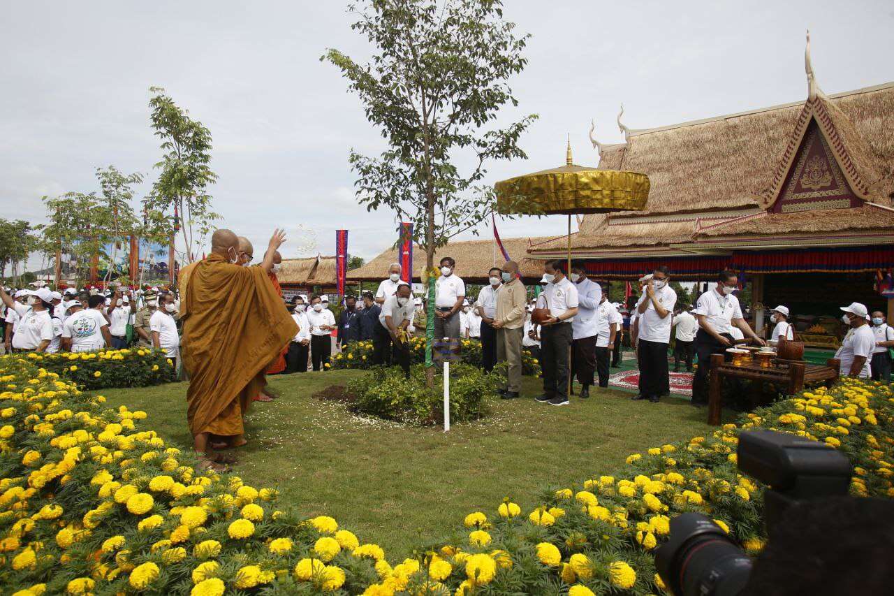 គូរស្រករដែល ទើបរៀបអាពាហ៍ពិពាហ៍ អាចរួមគ្នាបង្កើតគំនិតថ្មី ដើម្បីម្លប់ឈើអនុស្សាវរីយ៍
