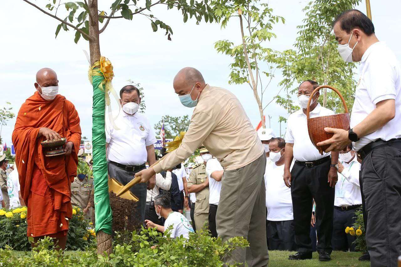 គូរស្រករដែល ទើបរៀបអាពាហ៍ពិពាហ៍ អាចរួមគ្នាបង្កើតគំនិតថ្មី ដើម្បីម្លប់ឈើ អនុស្សាវរីយ៍