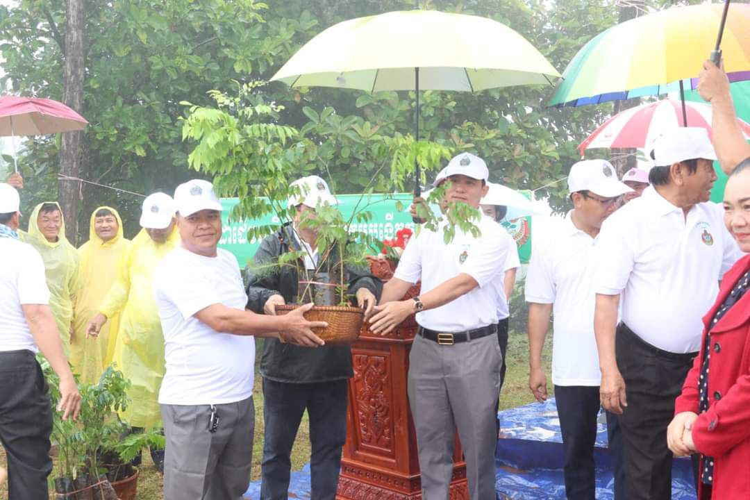ឯកឧត្តម ថង សាវុន អញ្ចើញចូលរួមដាំកូនឈើ ក្នុងពិធីបុណ្យរុក្ខទិវា នៅបរិវេណមជ្ឈមណ្ឌលវប្បធម៌ជនជាតិដើមភាគតិច ភ្នំដោះក្រមុំ