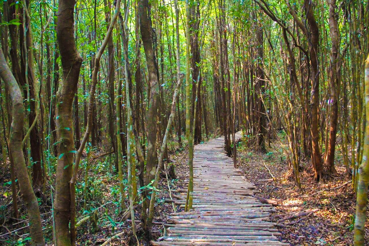 ព្រៃកោងកាងទឹកសាប