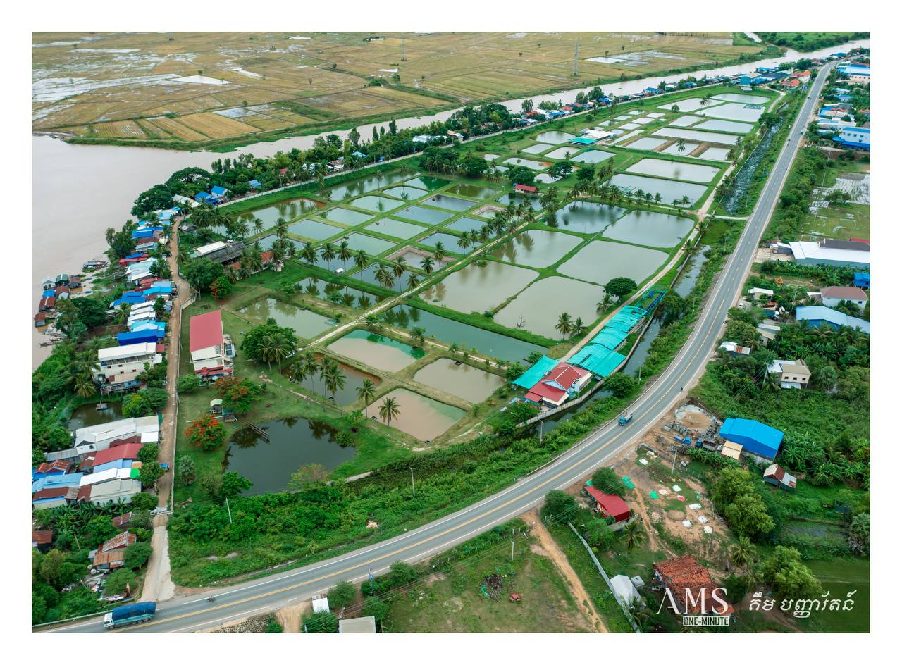 មជ្ឈមណ្ឌលភ្ញាស់កូនត្រីពូជនៅស្រុកពាមរក៍ 🐟