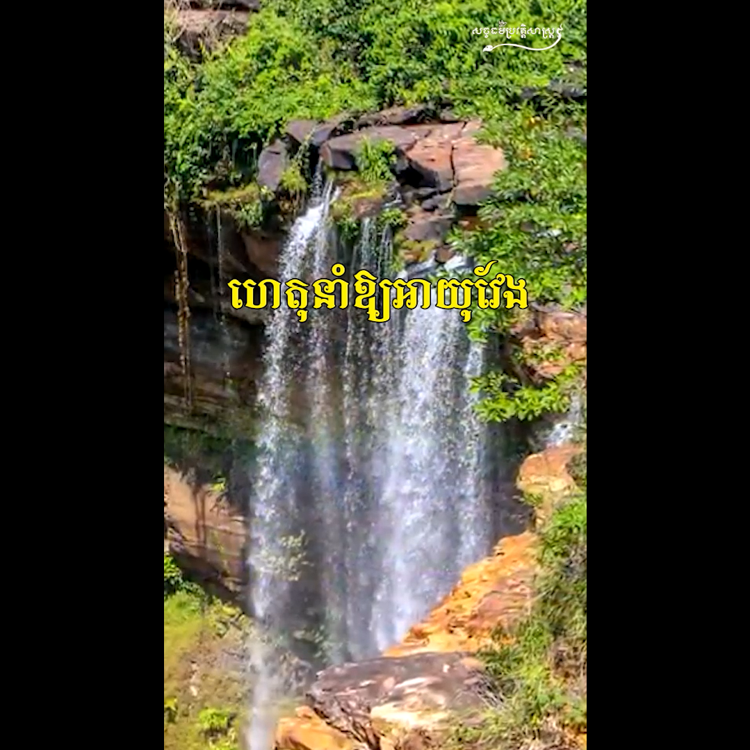 វីដេអូ៖ ហេតុនាំឱ្យអាយុវែង