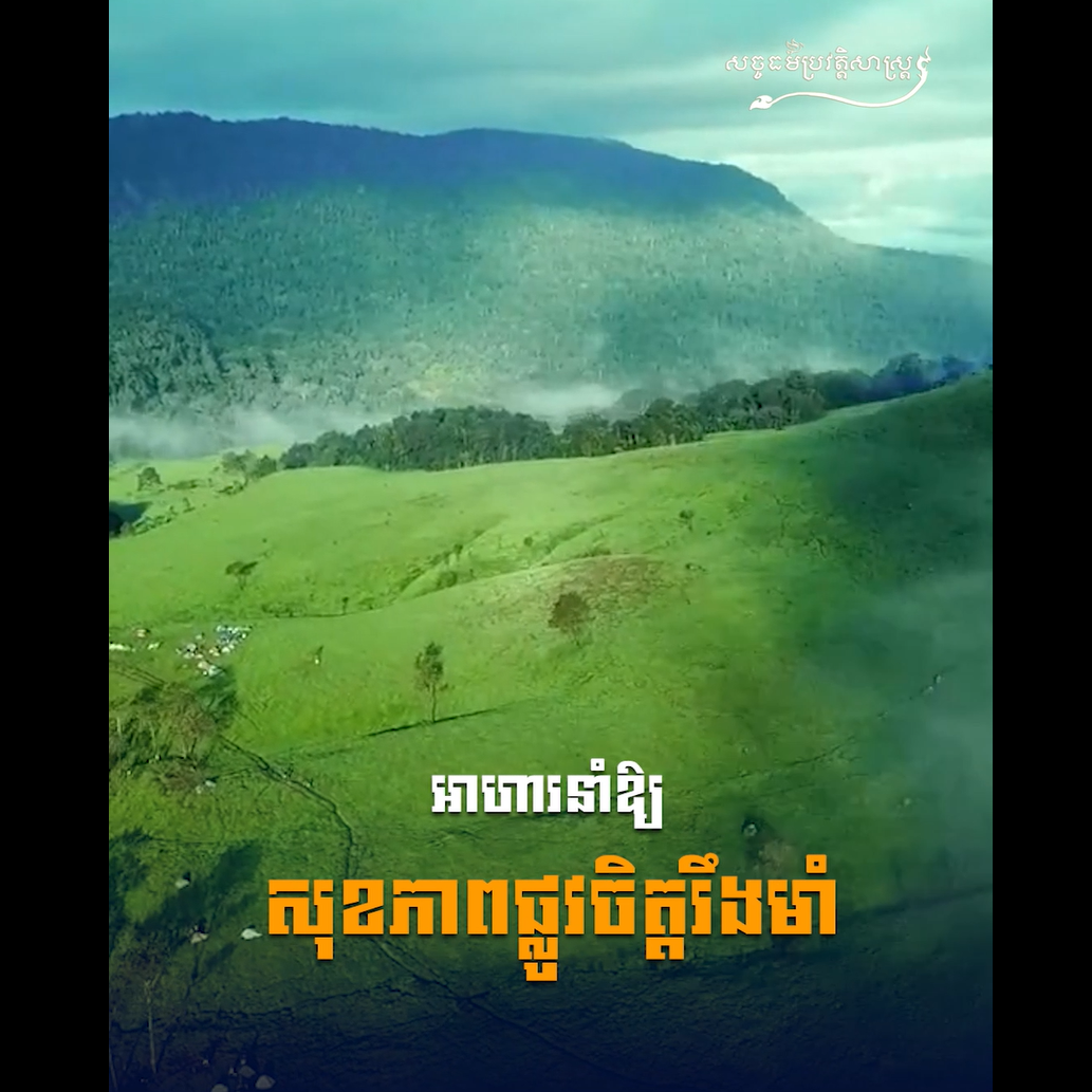 វីដេអូ៖ អាហារនាំឱ្យសុខភាពផ្លូវចិត្ដរឹងមាំ