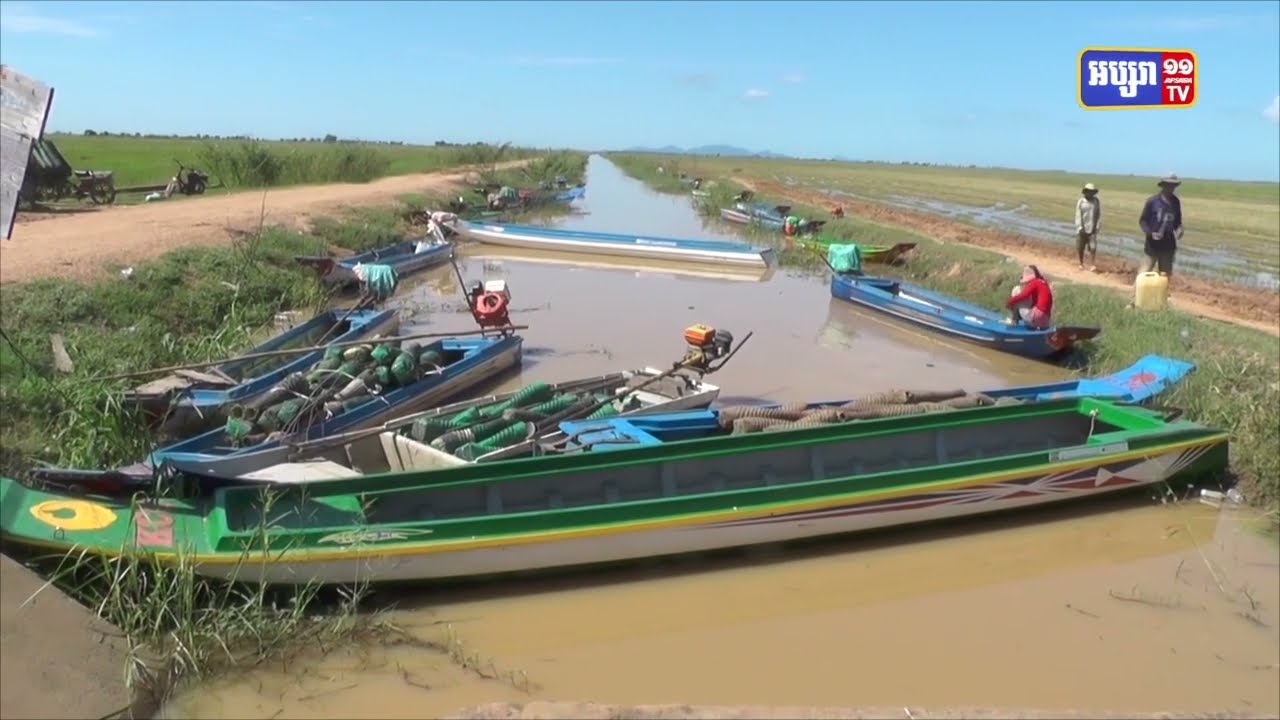 កសិករក្នុងខេត្តកំពង់ធំស្នើអាជ្ញាធរជួយច្រូតស្រូវទុំជិត២ពាន់ហិកតាលិចក្នុងជំនន់ទឹកភ្លៀង (Video Inside)