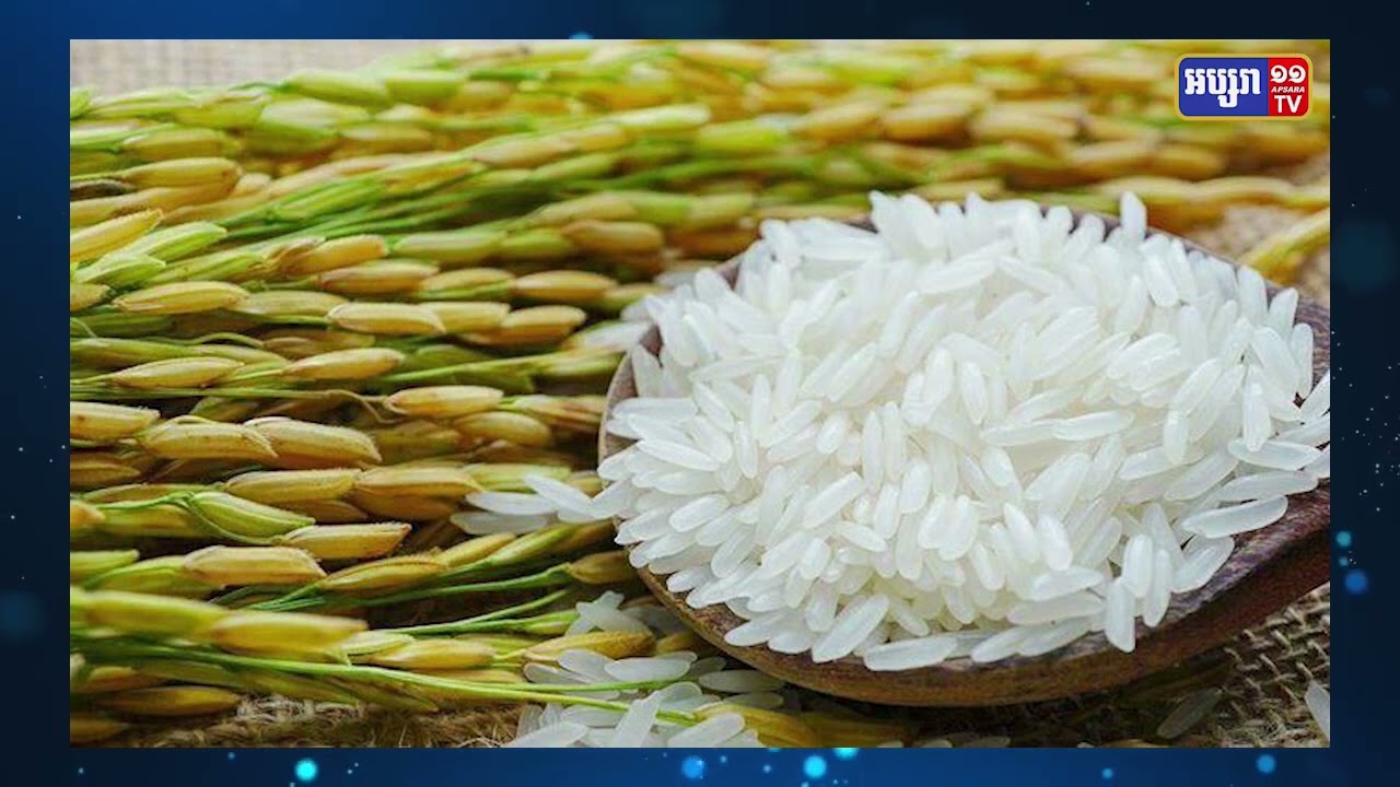 ប្រធានសហព័ន្ធស្រូវអង្កររកឃើញទីផ្សារដែលកម្ពុជាអាចសម្រេចផែនការមួយលានតោន (Video Inside)