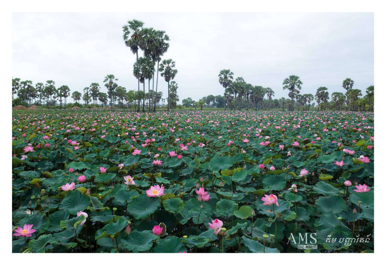 នៅឃុំរាប ស្រុកពារាំង