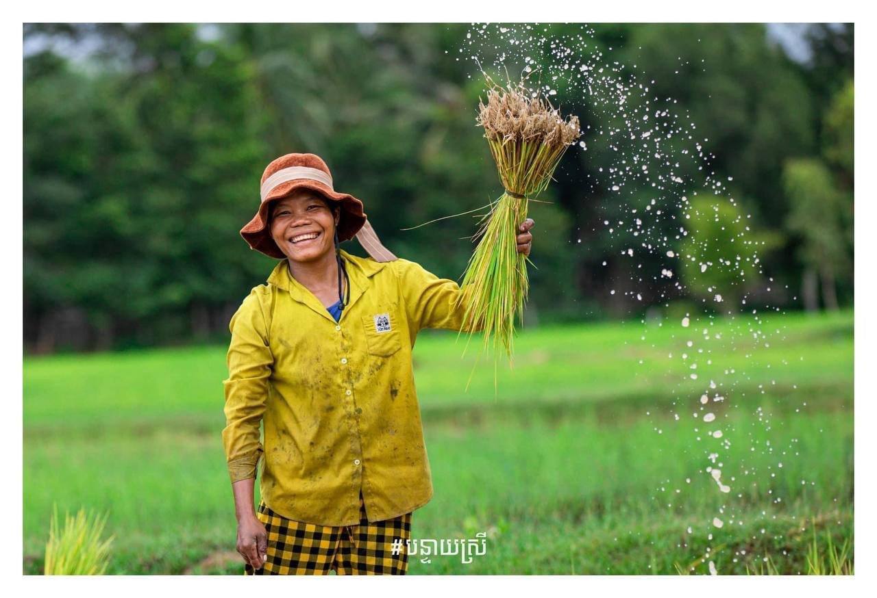ពីប្រទេសដែលខ្វះស្រូវប្រមាណ១លាន តោននាទសវត្សរ៍១៩៩០ និងដើមឆ្នាំ២០០០ ពេលនេះខ្មែរយើងសល់ស្រូវជាង៦លានតោន ហើយដំណាំកសិកម្មផ្សេងទៀតមានការរីកចម្រើនយ៉ាងខ្លាំង ដែលធ្វើឱ្យយើងដោះស្រាយបានតម្រូវការក្នុងស្រុក និងការនាំចេញ