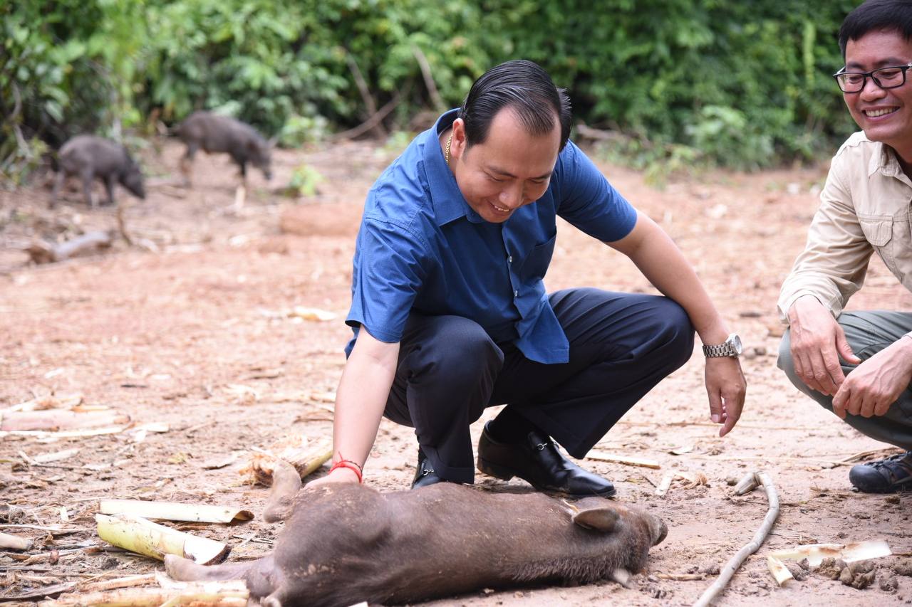 កសិដ្ឋានបង្កាត់ពូជជ្រូកគូលែន និងជ្រូកឦសាន នៅខេត្តសៀមរាបដើម្បីចែកចាយទៅតាមសហគមន៍ កំពុងពេញនិយមបំផុតលើទីផ្សារ