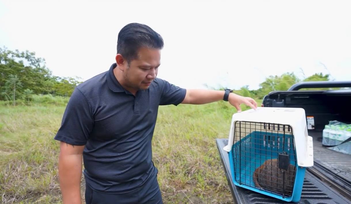 លោកឧកញ៉ា ទៀ វិចិត្រ នាំយកសត្វពង្រូល ដែលប្រជាពលរដ្ឋប្រគល់ជូន យកទៅព្រលែងនៅព្រៃធម្មជាតិ