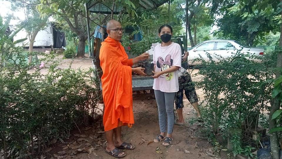 កូនឈើចម្រុះចំនួន៩,៥២០ដើមទៀត ត្រូវបានអាជ្ញាធរជាតិអប្សរាចែកចាយដល់សាធារណជន