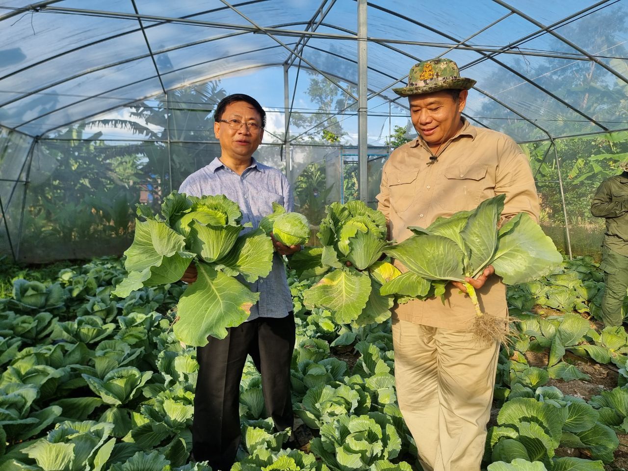សហគមន៍តំបន់ការពារធម្មជាតិភូមិទំព័រ ចាប់ផ្តើមប្រមូលផល ស្ពៃក្តោប និងស្ពៃក្រញាញ់