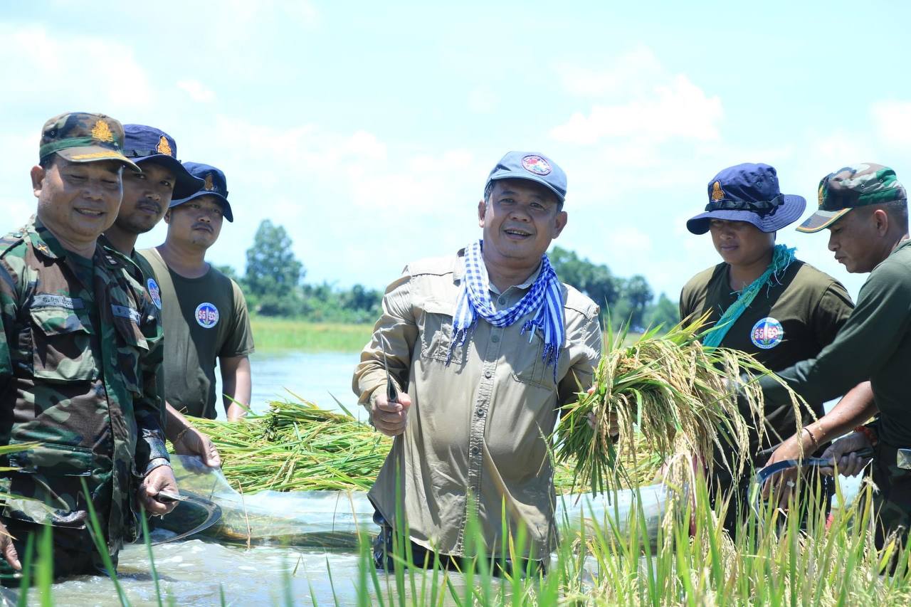 អភិបាលខេត្ត បន្ទាយមានជ័យ ដឹកនាំកម្លាំងចុះជួយច្រូតស្រូវពលរដ្ឋដែលលិចលងដោយសារ ទឹកភ្លៀង នៅសង្កាត់កោះ ពង់សត្វ និងសង្កាត់ភ្នៀត ក្នុងក្រុងសិរីសោភ័ណ