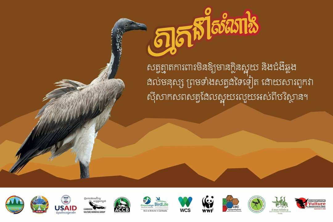 សត្វត្មាតមានតួនាទីក្នុងការជួយសម្អាតបរិស្ថានយ៉ាងដូចម្ដេចខ្លះ?
