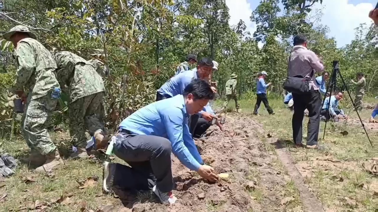 កូនឈើចម្រុះជាច្រើនដើមត្រូវបានយកមកដាំនៅព្រៃសហគមន៍ល្ងឹមឃុំត្រពាំងជោរ