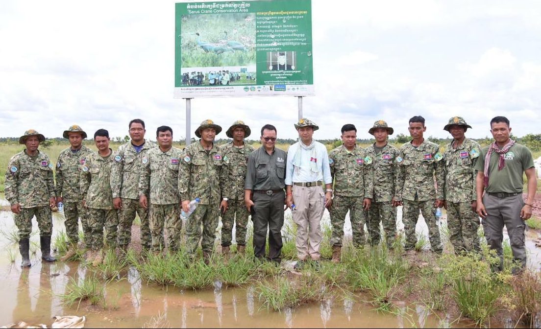 សត្វក្រៀល ជាសត្វងាយរងគ្រោះ និង ជាសត្វដ៏កម្រដែលក្រសួងបរិស្ថាននិងដៃគូ កំពុងរួមគ្នាអភិរក្ស