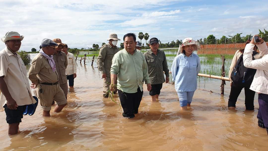 ជំនន់ទឹកទន្លេធ្វើឱ្យដំណាំស្រូវក្នុងស្រុកចំនួន៣ ក្នុងខេត្តកំពង់ឆ្នាំង រងផលប៉ះពាល់ ក្នុងរយៈពេល ១សប្តាហ៍ បើទឹកទន្លេមិនស្រក ឬ ស្រកយឺតនឹងរងការខូចខាត ដែលនឹងត្រូវស្តារឡើងវិញពេលទឹកស្រកផុត