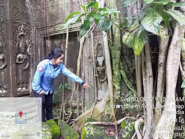 អាជ្ញាធរជាតិអប្សរាគ្រោងបិទផ្ទៃមុខអប្សរាដែលរបេះឡើងវិញពេលអាកាសធាតុអំណោយផល