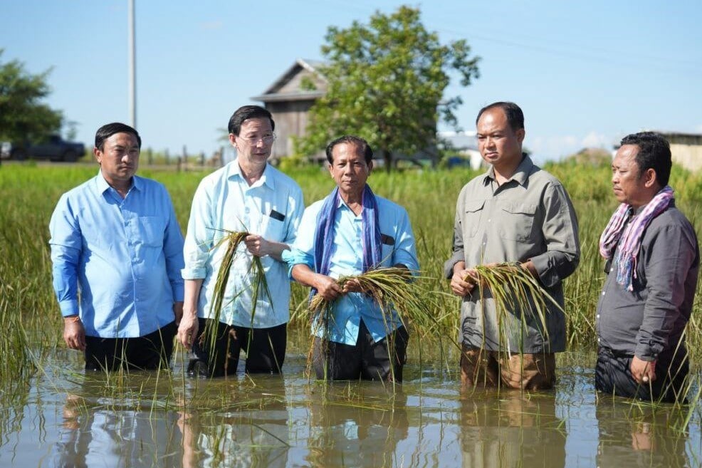 ក្រសួងកសិកម្ម និងអាជ្ញាធរខេត្តព្រះវិហារ កំពុងរកវិធានការស្តារស្រូវវស្សាជិត ១ម៉ឺនហិចតា ដែលរងការលិចលង់ ដោយជំនន់ទឹកភ្លៀងឡើងវិញ ក្រោយការចុះស្រង់ទិន្នន័យ និងការផ្ទៀងផ្ទាត់លើផ្ទៃដីដែលរងការជន់លិច