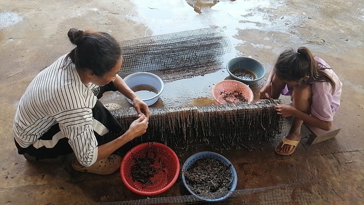 សិប្បកម្មកែច្នៃសត្វ ទន្លេនមួយកន្លែងអាចបង្កើនចំណូលជីវភាពដល់បងប្អូនប្រជាពលរដ្ឋ ឃុំទឹកហូត ស្រុករលាបៀរ
