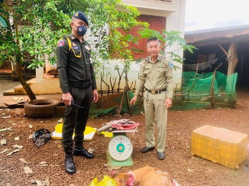 កម្លាំងមូលដ្ឋានកងរាជអាវុធហត្ថ សហការជាមួយ កម្លាំងសង្កាត់ រដ្ឋបាលព្រៃឈើ ចុះបង្គ្រាបករណីជួញដូរសត្វព្រៃ នៅចំណុច ក្នុងផ្សារបានលុង