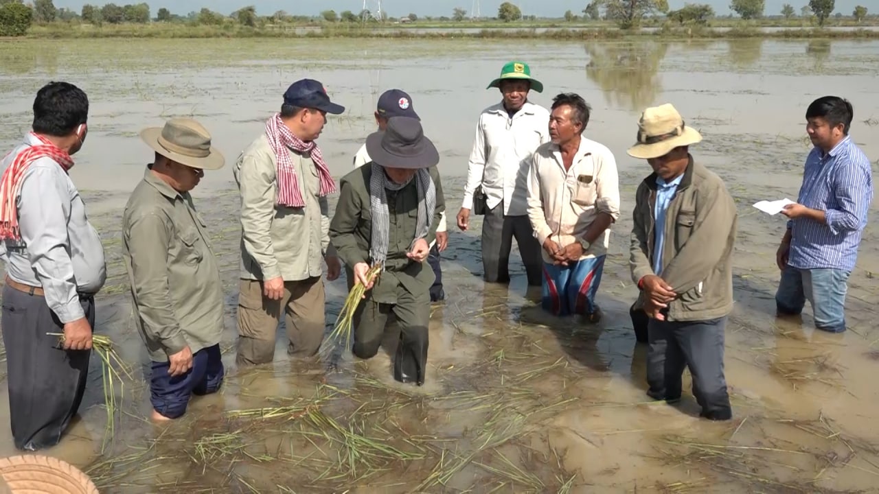 ឯកឧត្តម ងិន ឆាយ ចុះជួបប្រជាកសិករនៅខេត្តបាត់ដំបង ដើម្បីស្វែងយល់ពីថ្លៃដើមនៃការផលិត និងផ្ដល់អនុសាសន៍ដើម្បីកាត់បន្ថយការចំណាយ