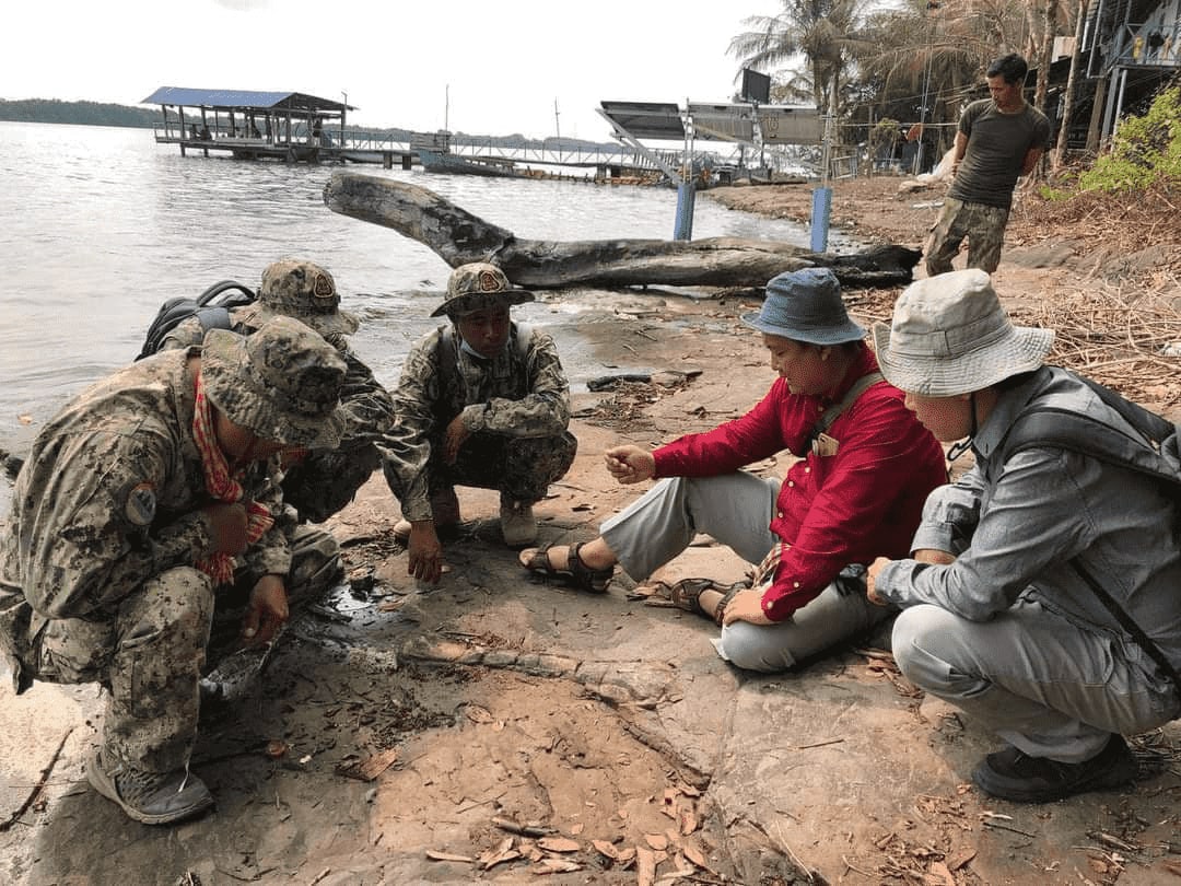 រកឃើញផូស៊ីលឆ្អឹងដាយណូស័រដំបូងគេនៅប្រទេសកម្ពុជាក្នុងទឹកដីកោះប៉ោ ជាប់ដែនជម្រកសត្វព្រៃតាតៃ ខេត្តកោះកុង