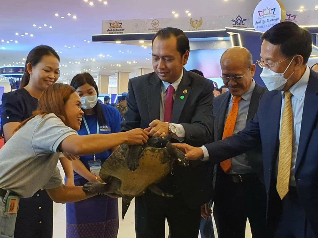 អណ្តើកហ្លួងត្រូវបានចាត់ទុកជានិមិត្តរូបតំណាងឱ្យសត្វប្រចាំប្រទេសកម្ពុជា