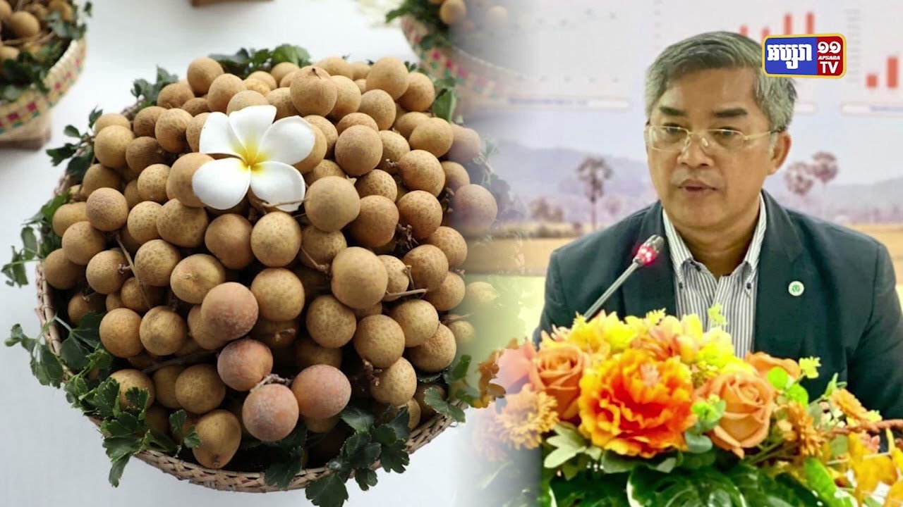 ផ្លែមៀនស្រស់នាំចេញដំបូងទៅប្រទេសចិនបានចំនួនជាង១ពាន់តោន(Video Inside)