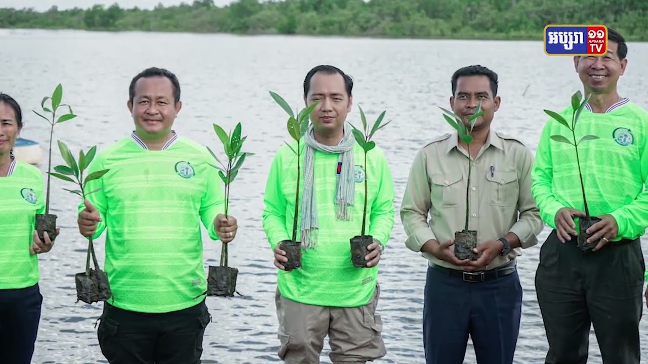 កូនដើមកោងកាង៣ពាន់ដើមដាំនៅខេត្តកែបក្នុងទិវាបរិស្ថានជាតិ (Video Inside)