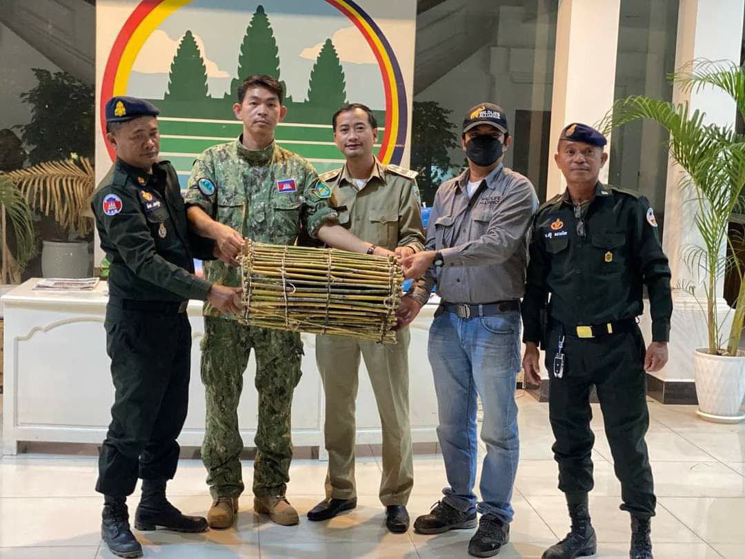 កូនសត្វខ្លាឃ្មុំតូចមួយក្បាលត្រូវបានជួយសង្គ្រោះនៅខេត្តមណ្ឌលគិរីនិងត្រូវបានបញ្ជូនទៅកាន់ សួនសត្វភ្នំតាម៉ៅ