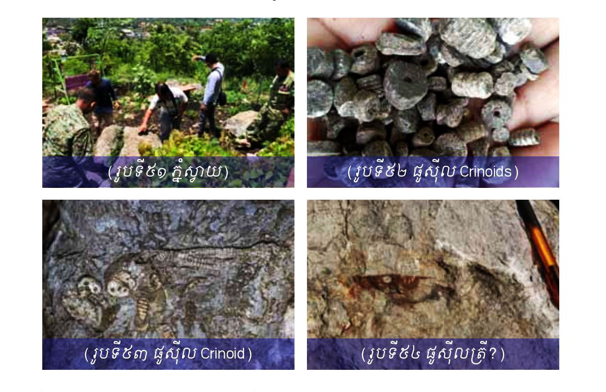 ស្ថានីយផូស៊ីលភ្នំស្វាយ (Phnom Svay Fossil Site)