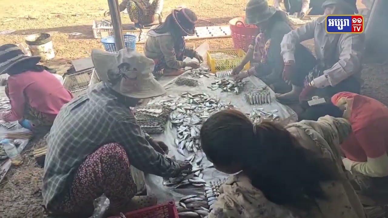 ក្រសួងកសិកម្មជូនដំណឹងត្រីចុះលើកដំបូង (Video Inside)